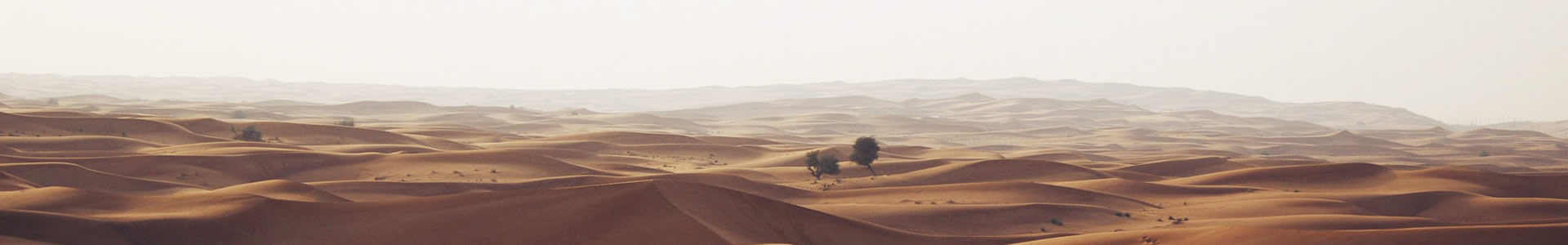 -ϢƼ޹˾